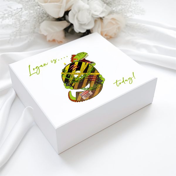 Personalised Dino birthday Magnetic Box